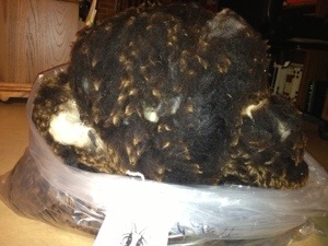 Jacob Fleece from Fire Fly Farm