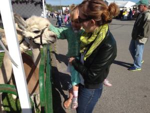 We were in Alpaca heaven.
