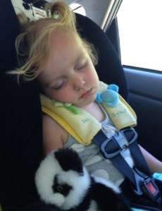 Of course the only picture I managed to get of M and the panda was on the drive home... worn out!